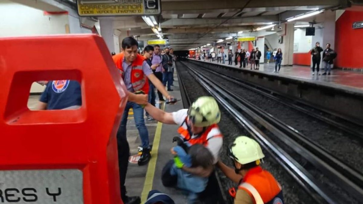 Metroda tavuk alarmı!