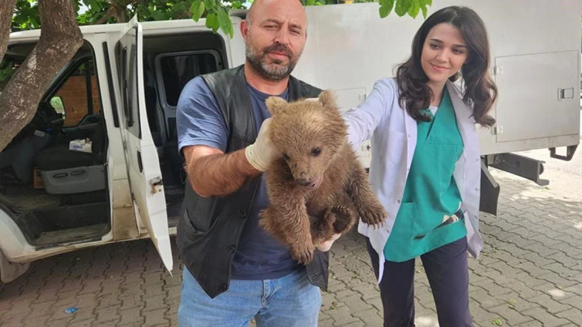 Bursa'da bulunan yavru ayı yetkililere teslim edildi