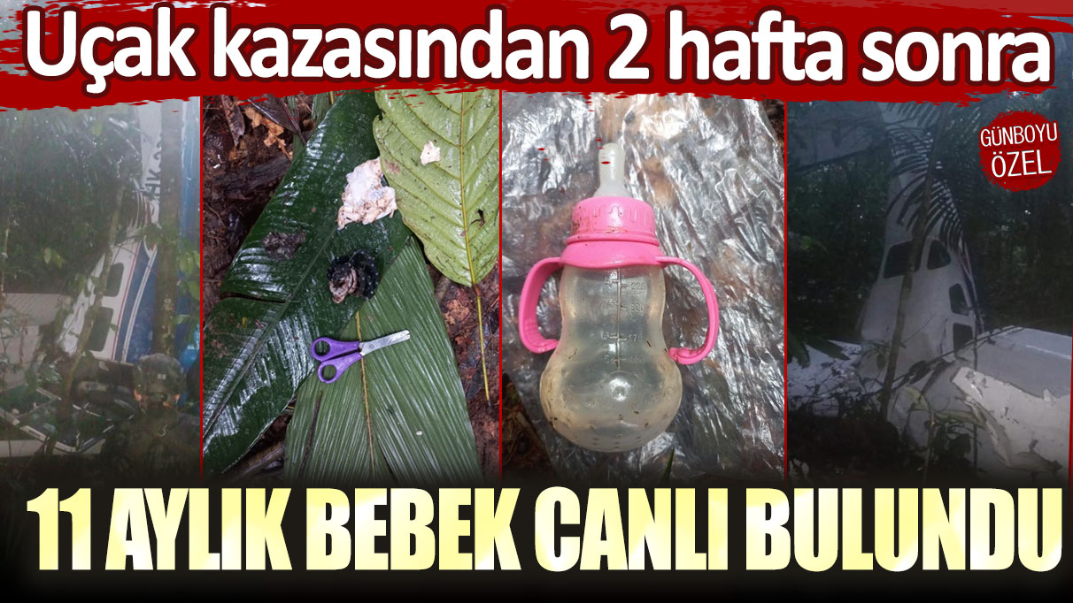 Uçak kazasından 2 hafta sonra 11 aylık bebek canlı bulundu