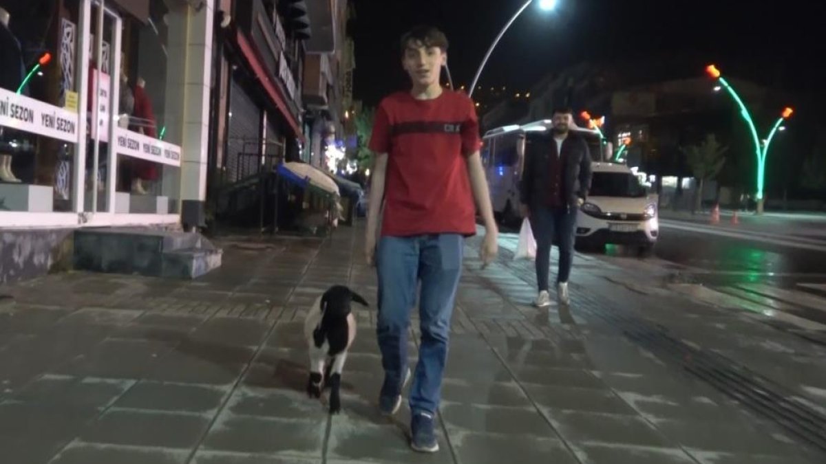 Annesi ölen kuzuyu sahiplendi: Hiç peşinden ayrılmıyor