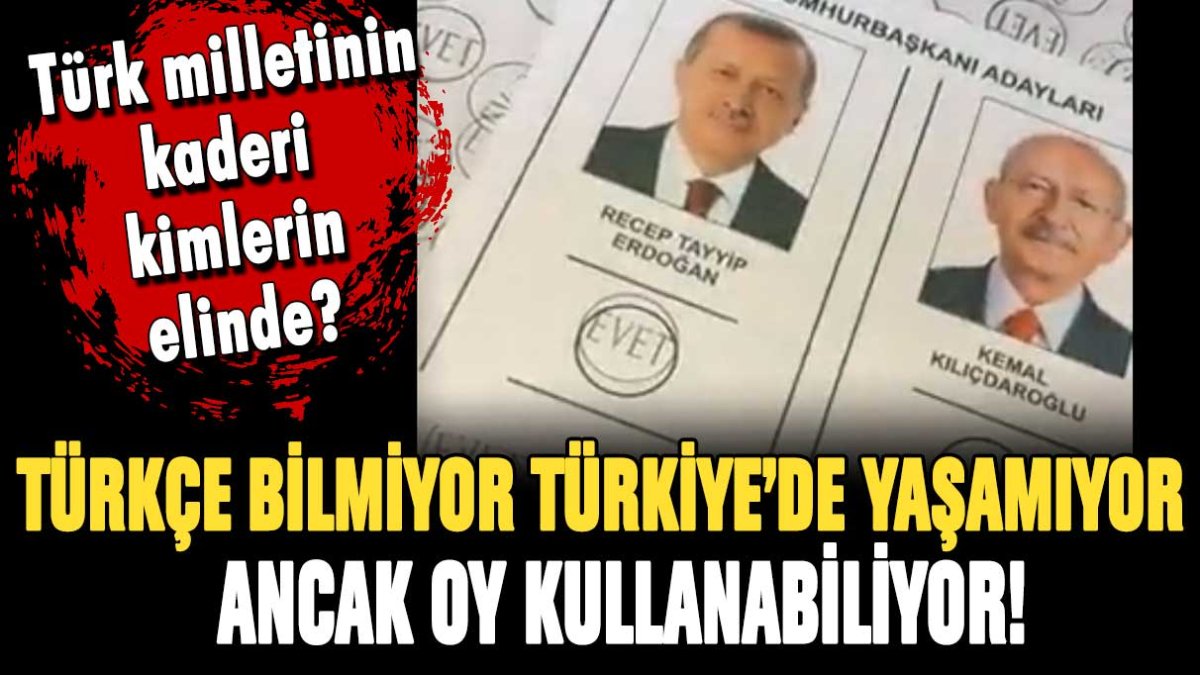 Türkiye'de yaşamayan Araplar, Türkiye'nin geleceğini belirliyor