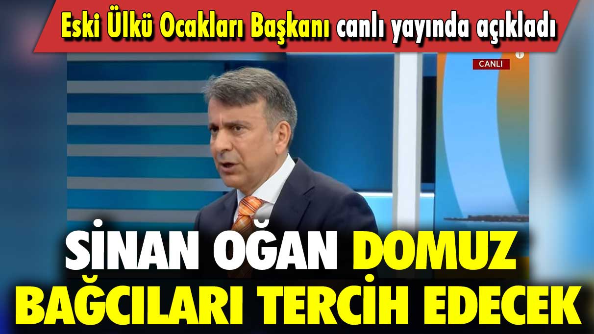 Sinan Oğan domuz bağcıları tercih edecek: Eski Ülkü Ocakları Başkanı canlı yayında açıkladı