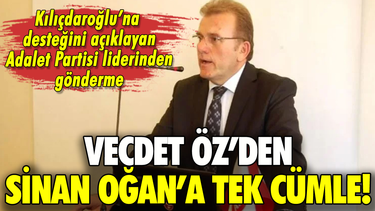 Vecdet Öz'den Sinan Oğan'a tek cümlelik gönderme!