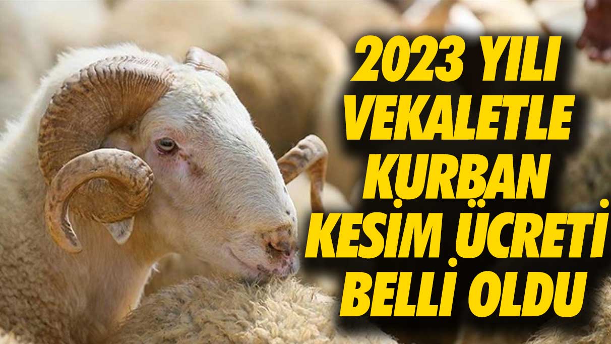 2023 yılı vekaletle kurban kesim ücreti belli oldu