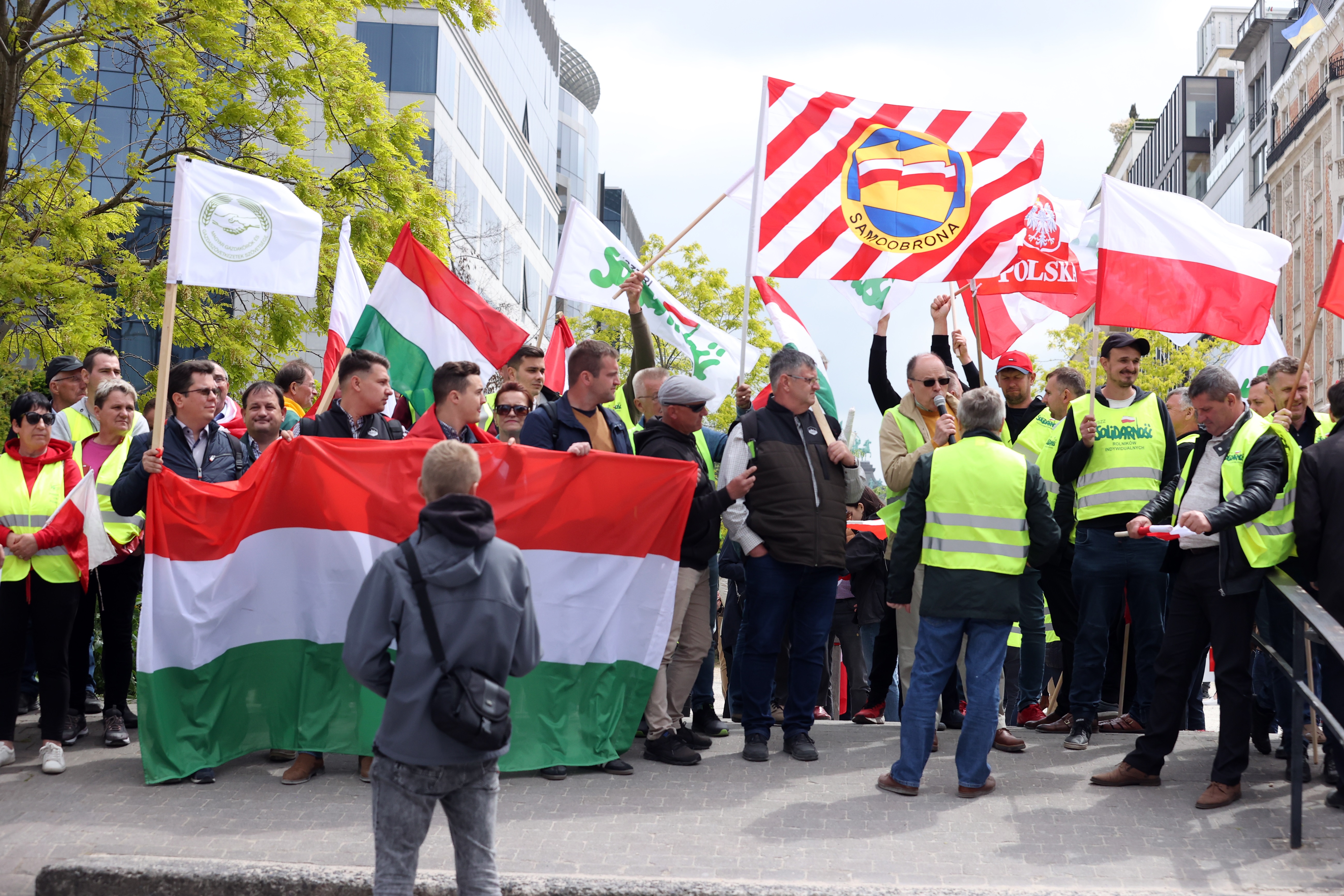 AB'de tarım politikasına protesto!
