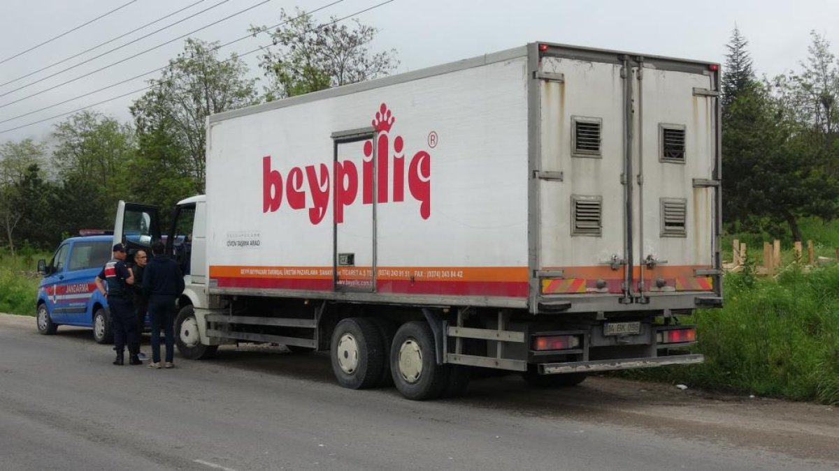 Piliç yüklü kamyon kaza yaptı! 4 yaralı!