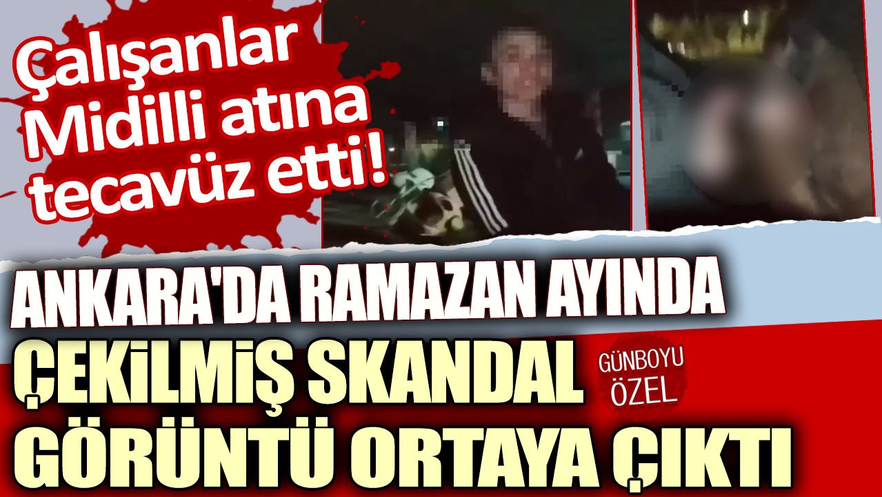 Çalışanlar Midilli atına tecavüz etti: Ankara'da Ramazan ayında çekilmiş skandal görüntü ortaya çıktı!