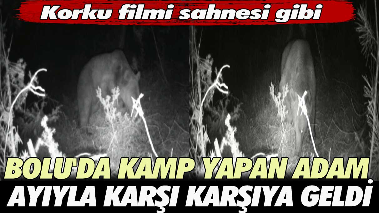 Korku filmi sahnesi gibi; Bolu’da kamp yapan adam ayıyla karşı karşıya geldi