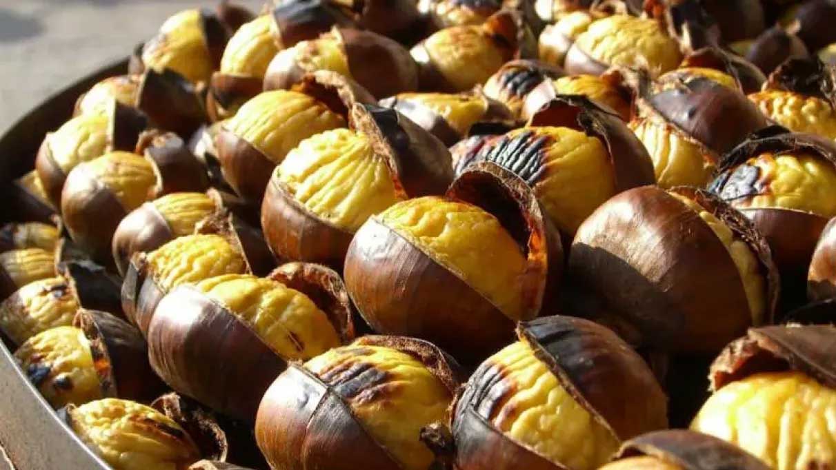 Rüyada kestane görmek ne anlama geliyor?