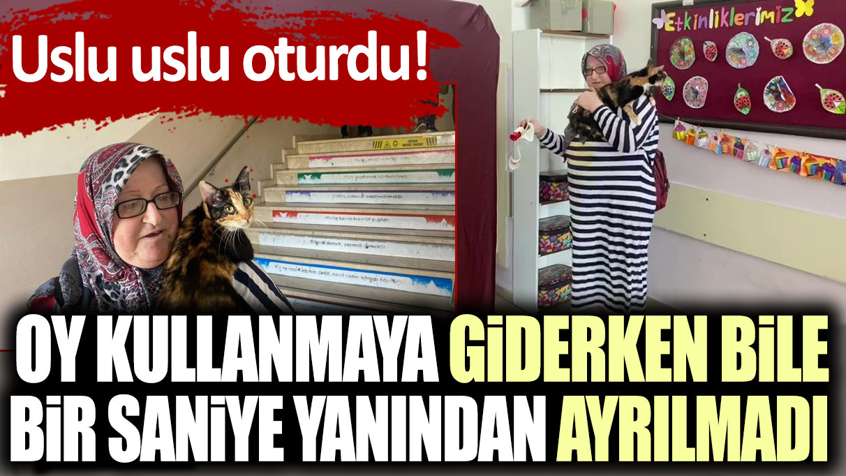 Uslu uslu oturdu: Oy kullanmaya giderken bile bir saniye yanından ayrılmadı!