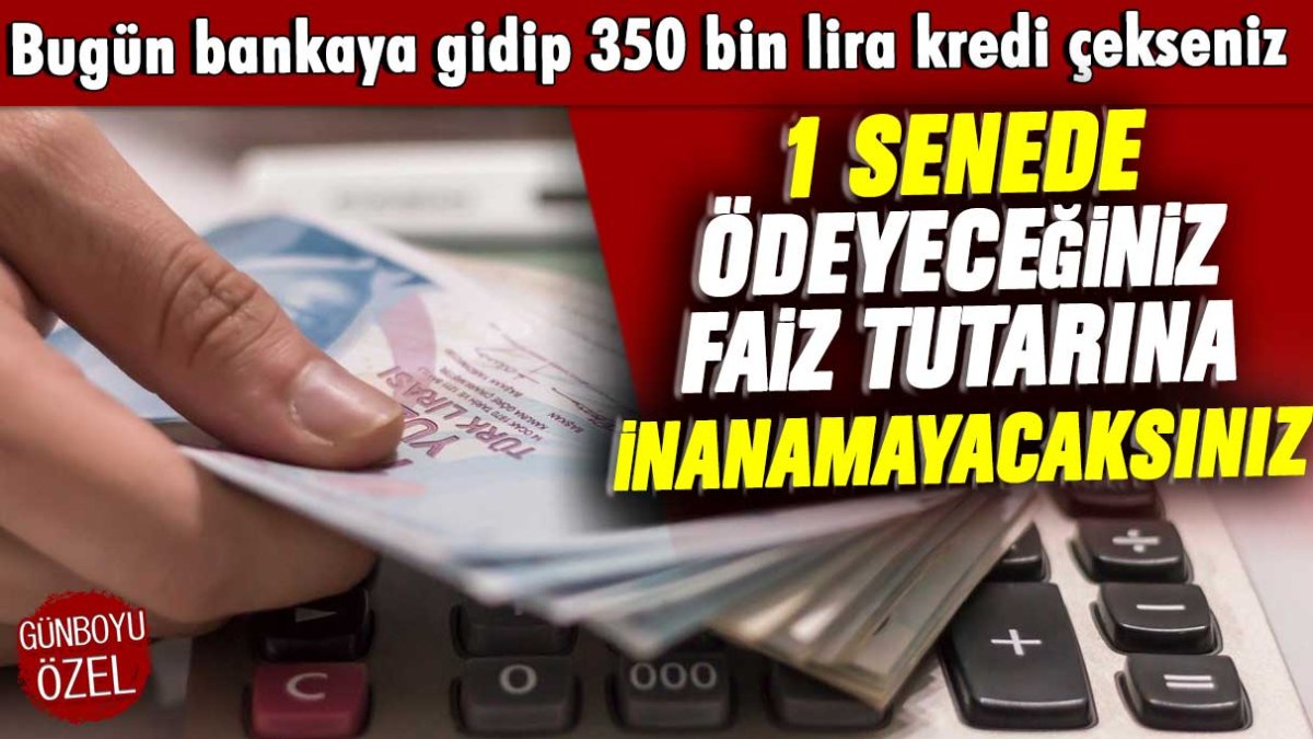 Bugün bankaya gidip 350 bin lira kredi çekseniz 1 senede ödeyeceğiniz faiz tutarına inanamayacaksınız