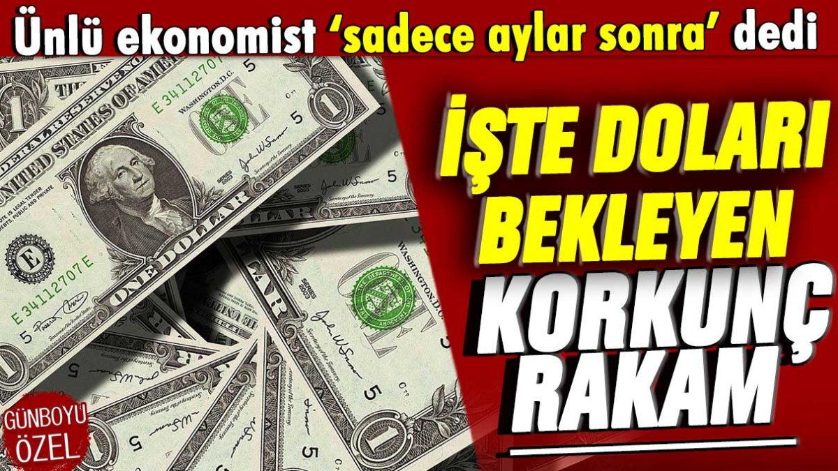 Ünlü ekonomist doların birkaç ay içinde geleceği korkunç seviyeyi açıkladı