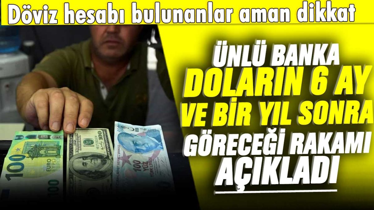 Ünlü banka doların 6 ay ve 1 sene sonra göreceği rakamı açıkladı! Döviz hesabı bulunanlar aman dikkat