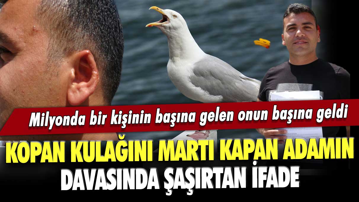 Kavgada kopan kulağını martı kapan adamın davasında şaşırtan ifade: Milyonda bir kişinin başına gelen onun başına geldi