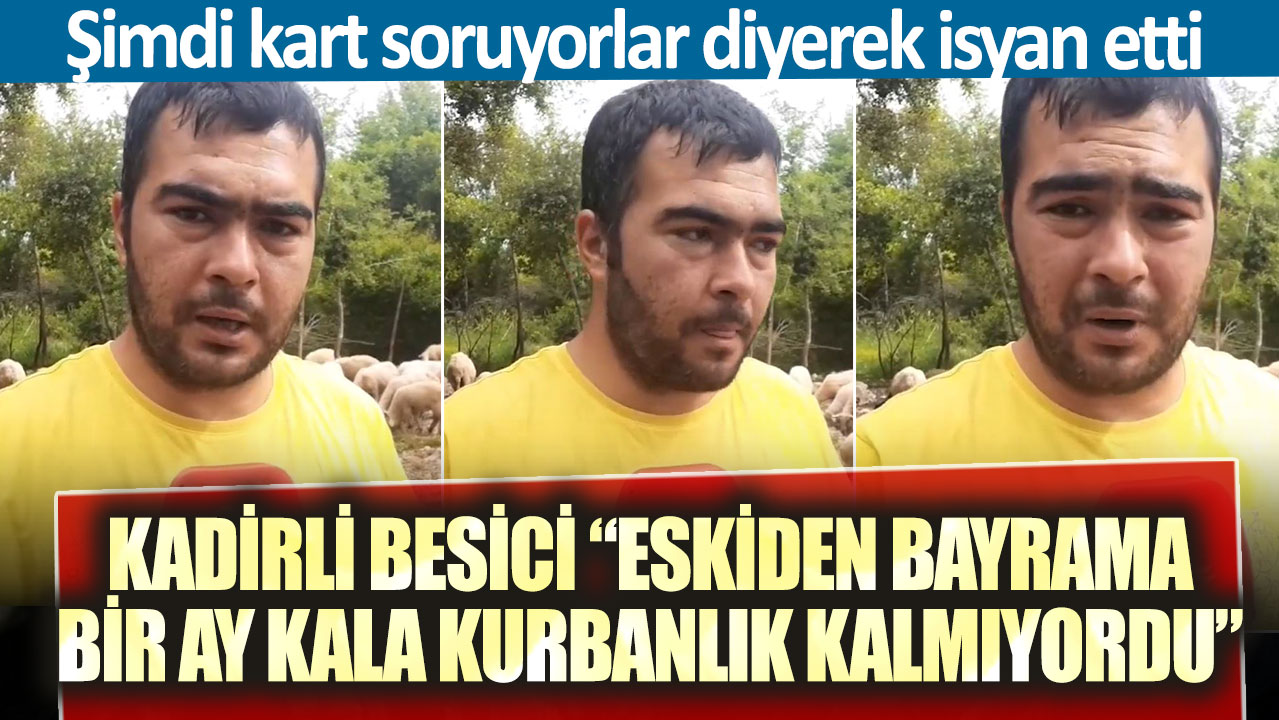 Kadirli Besici “Eskiden bayrama bir ay kala kurbanlık kalmıyordu” Şimdi kart soruyorlar diyerek isyan etti