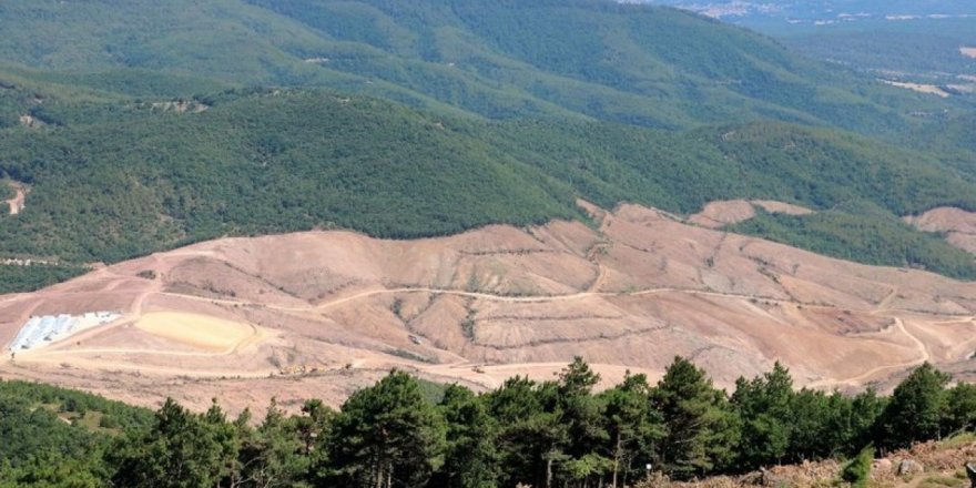 AKP'li eski başkandan Bülent Turan'a Kaz Dağları tepkisi