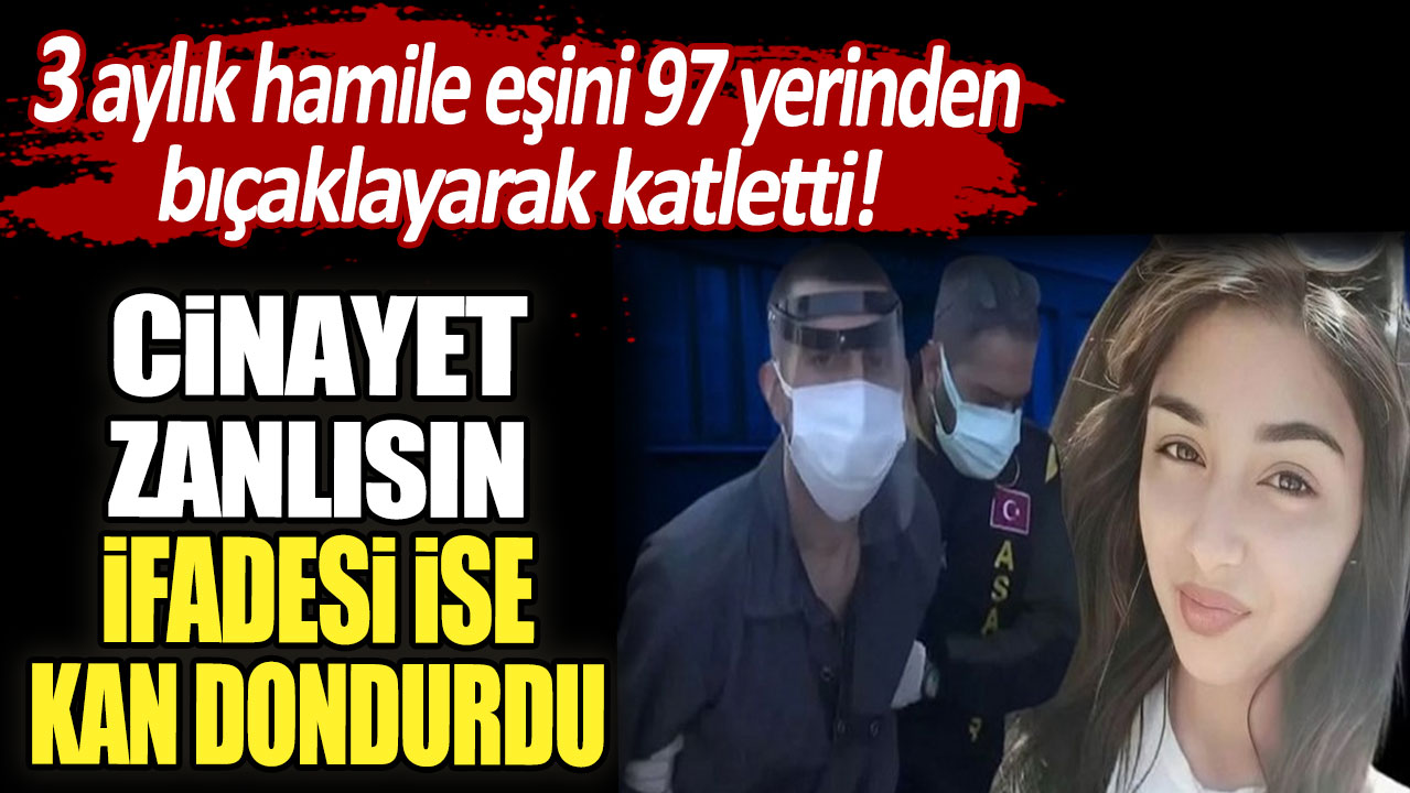 3 aylık hamile eşini 97 yerinden bıçaklayarak katletti: İfadesi ise kan dondurdu!