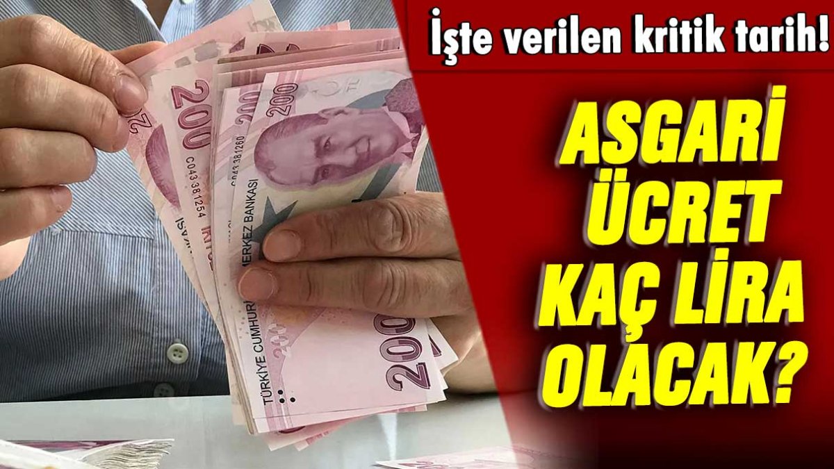 Asgari ücret kaç lira olacak? İşte zamlı maaş için beklenen tarih