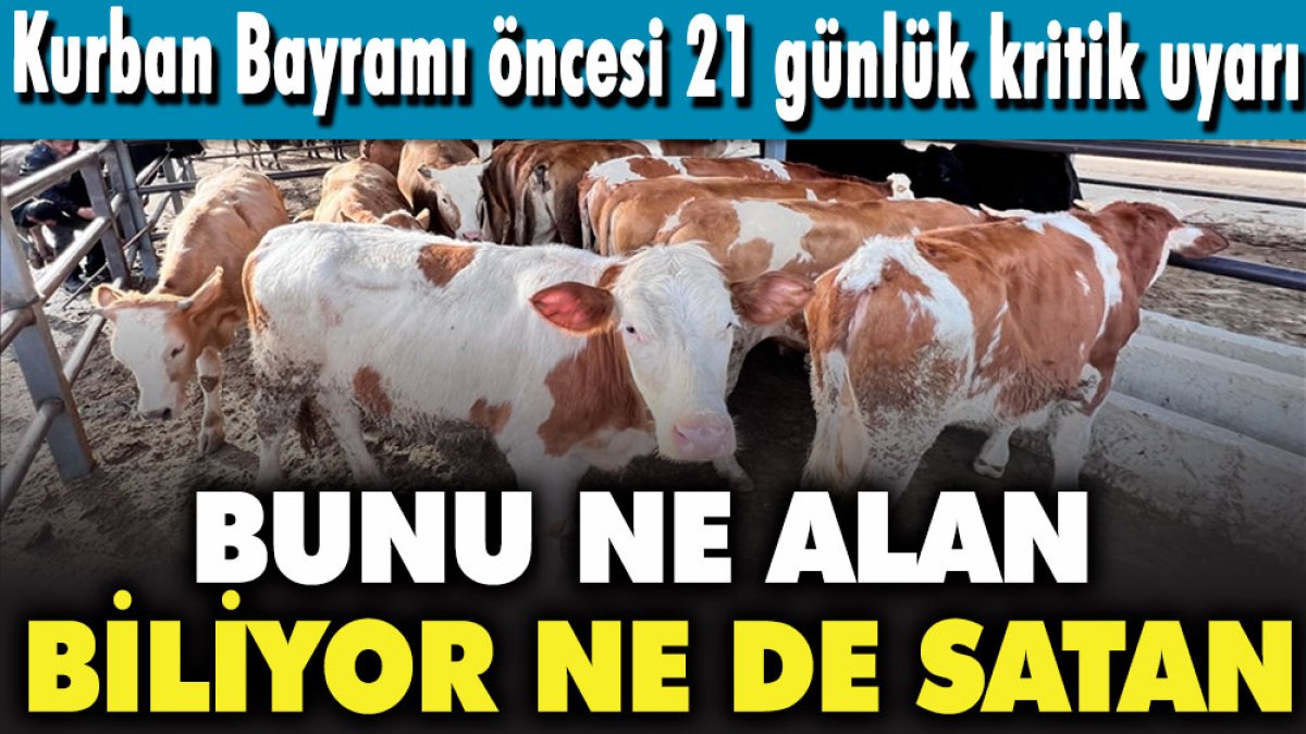 Kurban Bayramı öncesi 21 günlük kritik uyarı! Bunu ne alan biliyor ne de satan