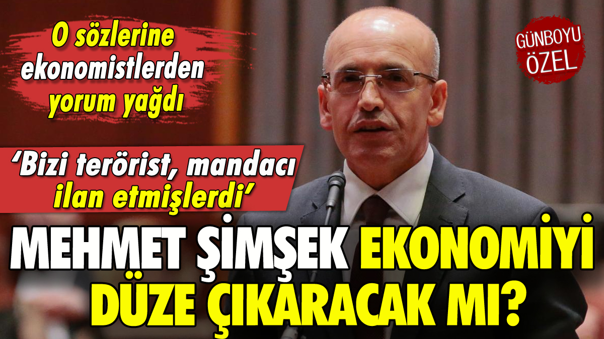 Mehmet Şimşek'in o sözlerine ekonomistlerden yorum: 'Bize terörist demişlerdi'