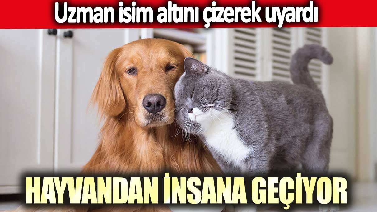 Hayvandan insana geçiyor... Uzman isim altını  çizerek uyardı