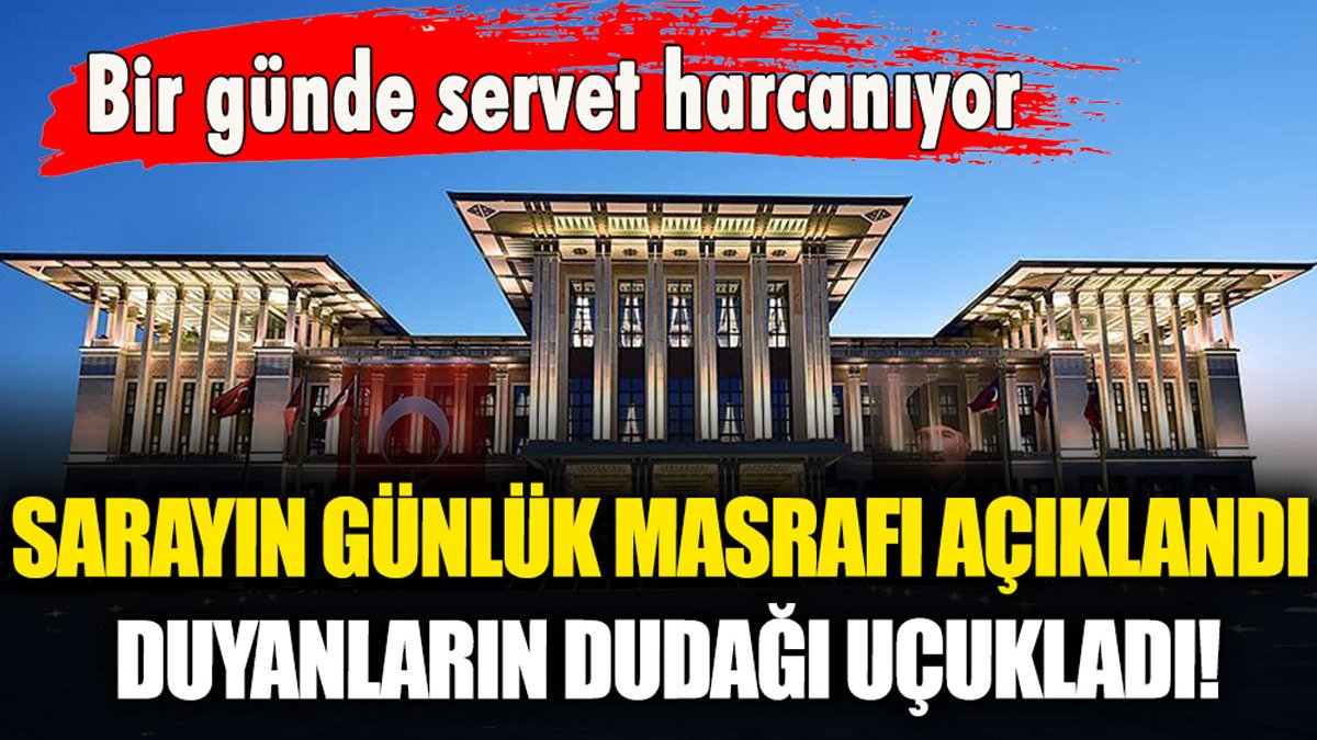 Beştepe'nin günlük harcamaları rekor kırdı: İşte Saray'ın dudak uçuklatan maliyeti...