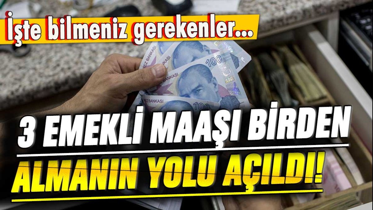 3 emekli maaşı birden almanın yolu açıldı: İşte bilmeniz gerekenler