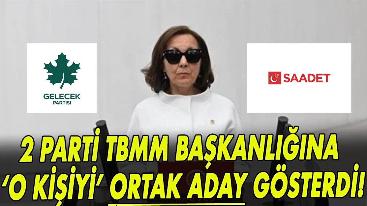 2 parti TBMM başkanlığına ‘o kişiyi’ ortak aday gösterdi!