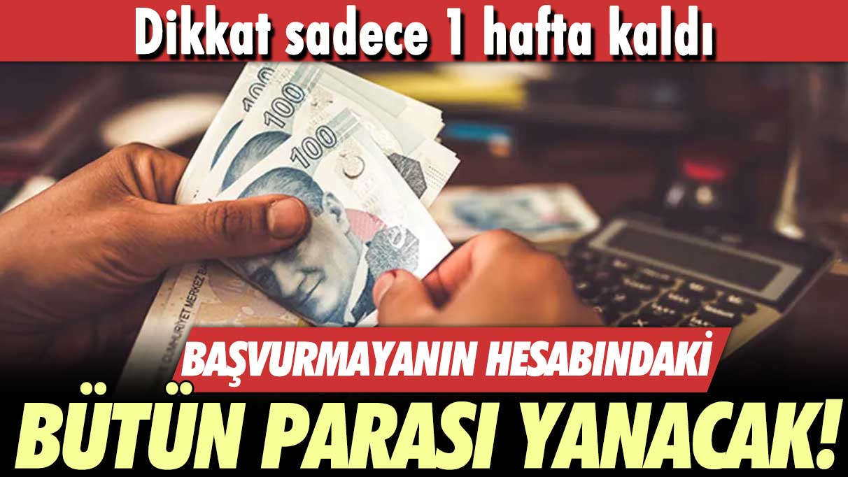 Başvurmayanın hesabındaki bütün parası yanacak! Dikkat sadece 1 hafta kaldı