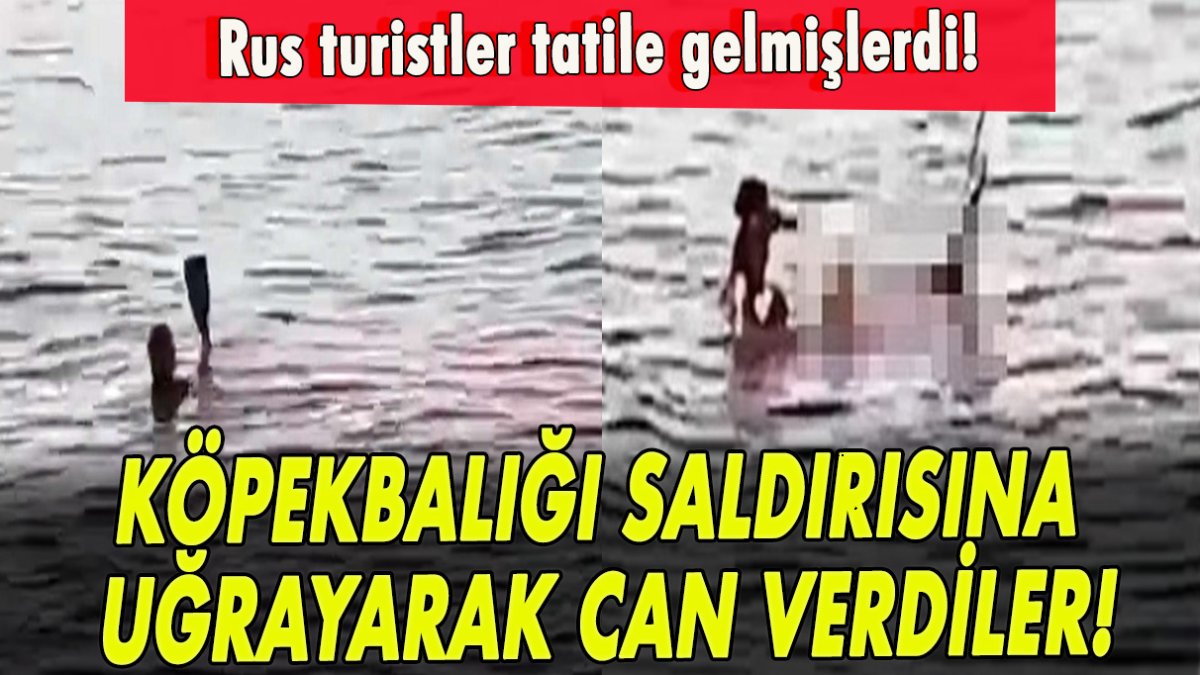 Rus turistler tatile gelmişlerdi! Köpekbalığı saldırısına uğrayarak can verdiler!