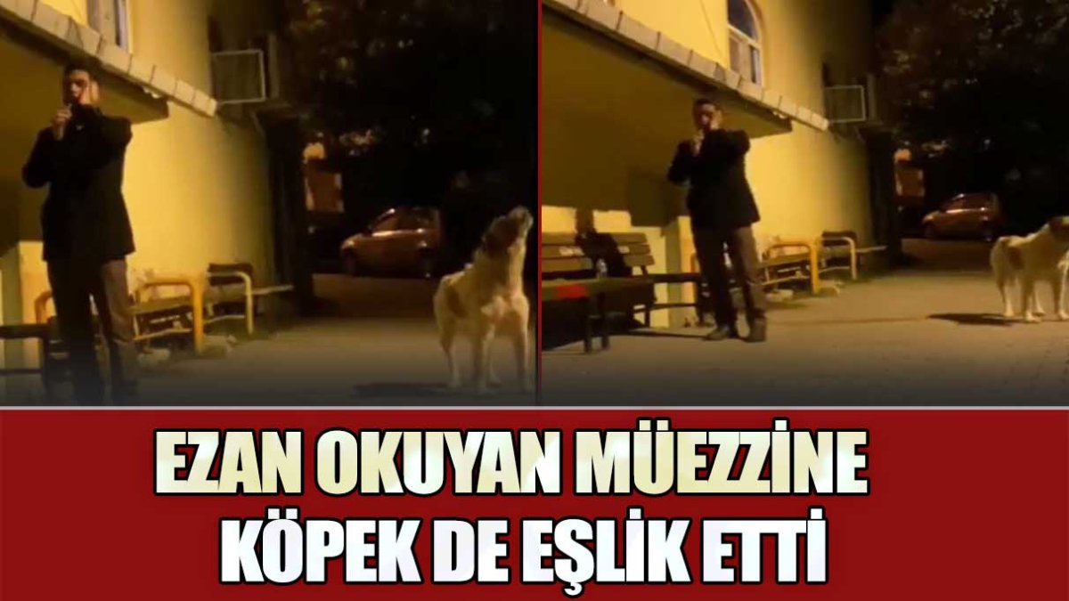 Ezan okuyan müezzine köpek de eşlik etti