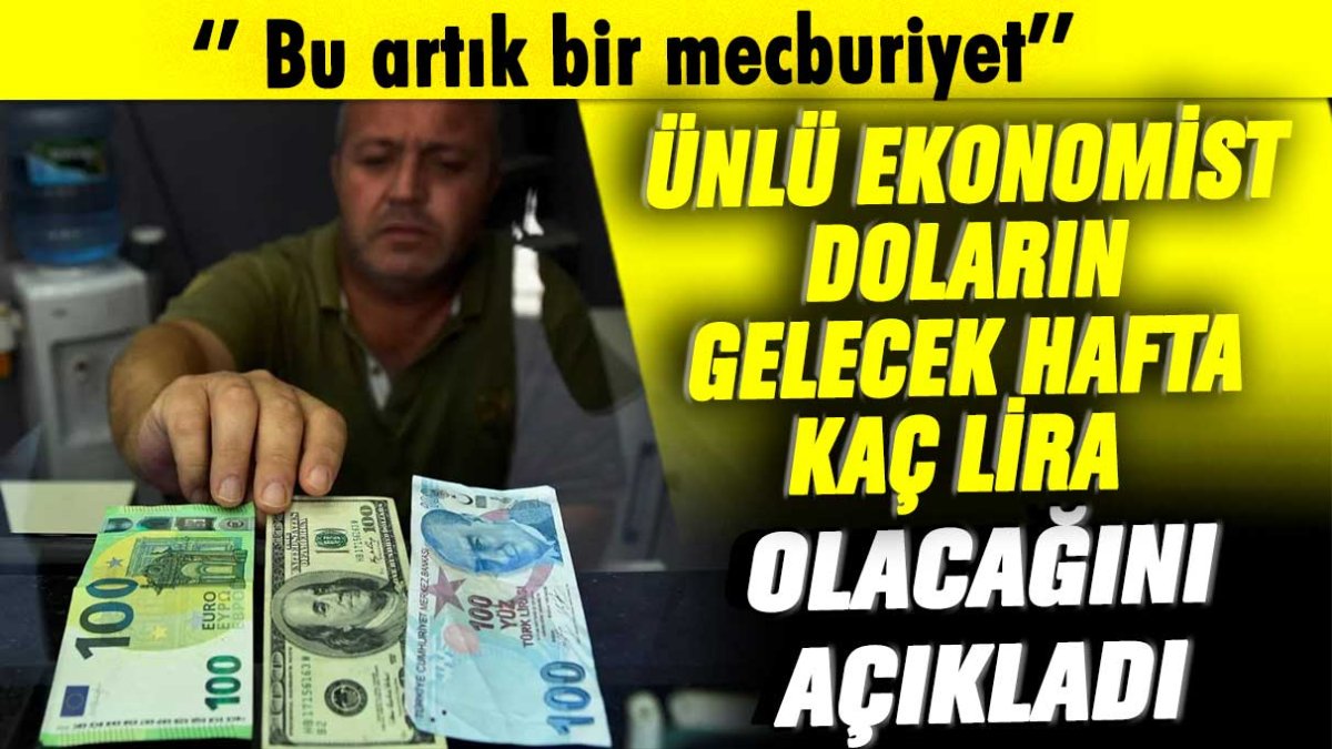 Ünlü ekonomist doların haftaya kaç lira olacağını açıkladı: Bu artık bir mecburiyet