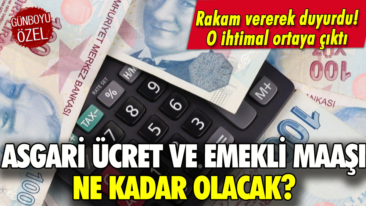 Asgari ücret ve emekli maaşı için rakam verildi