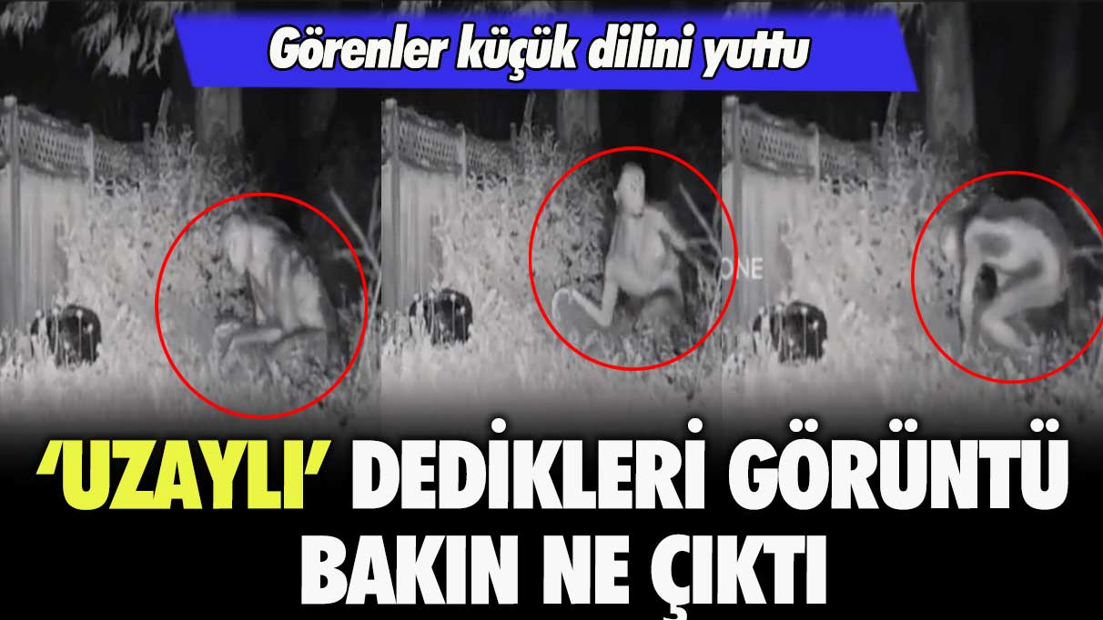 Görenler küçük dilini yuttu: uzaylı dedikleri görüntü bakın ne çıktı