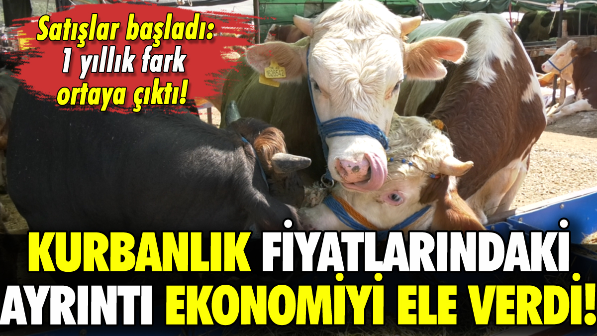 Kurbanlık fiyatları ekonomiyi ele verdi: İşte yıllık fark!