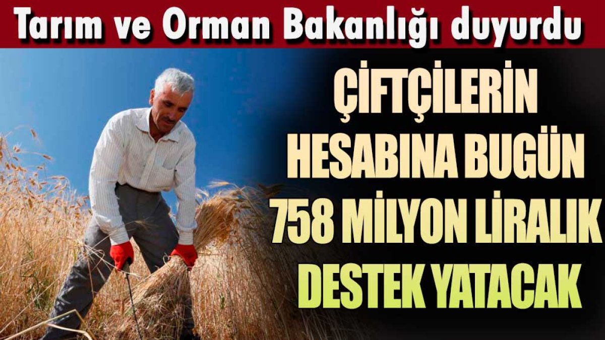 Tarım ve Orman Bakanlığı duyurdu: Çiftçilerin hesabına bugün 758 milyon liralık destek yatacak