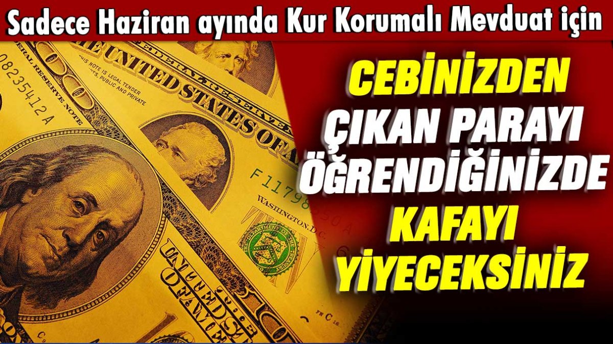 Sadece Haziran ayında Kur Korumalı Mevduat için cebinizden çıkan parayı öğrendiğinizde kafayı yiyeceksiniz