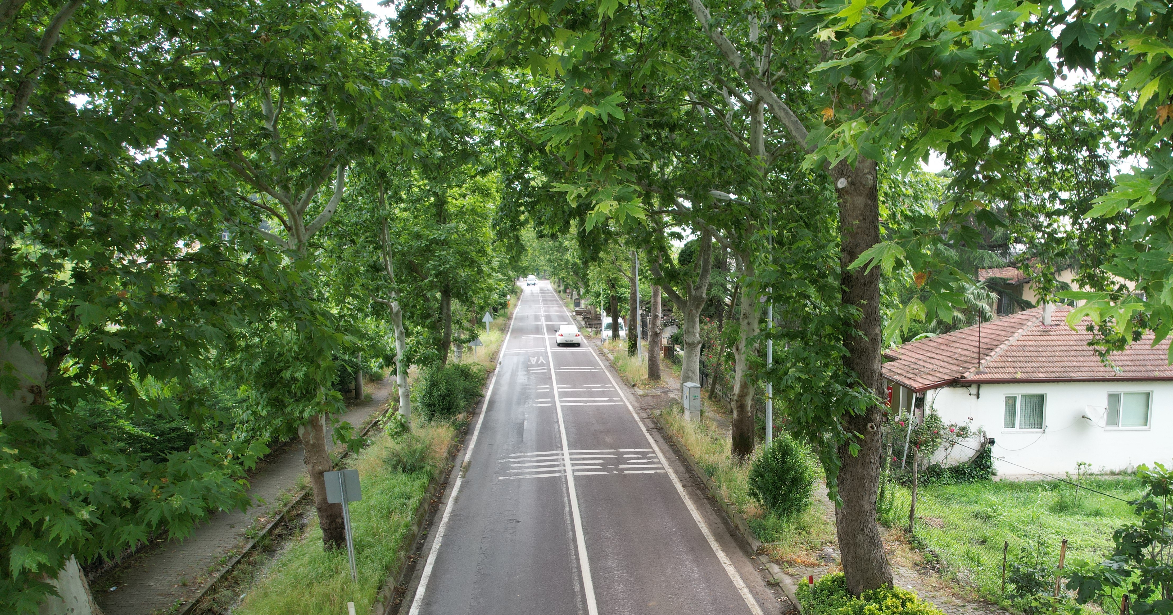 Yeşil tünel turistlerin yolculuğunu keyiflendirdi