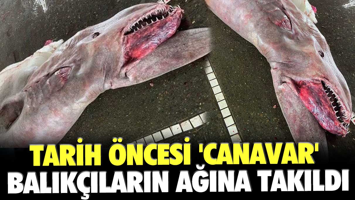 Tarih öncesi 'canavar' balıkçıların ağına takıldı