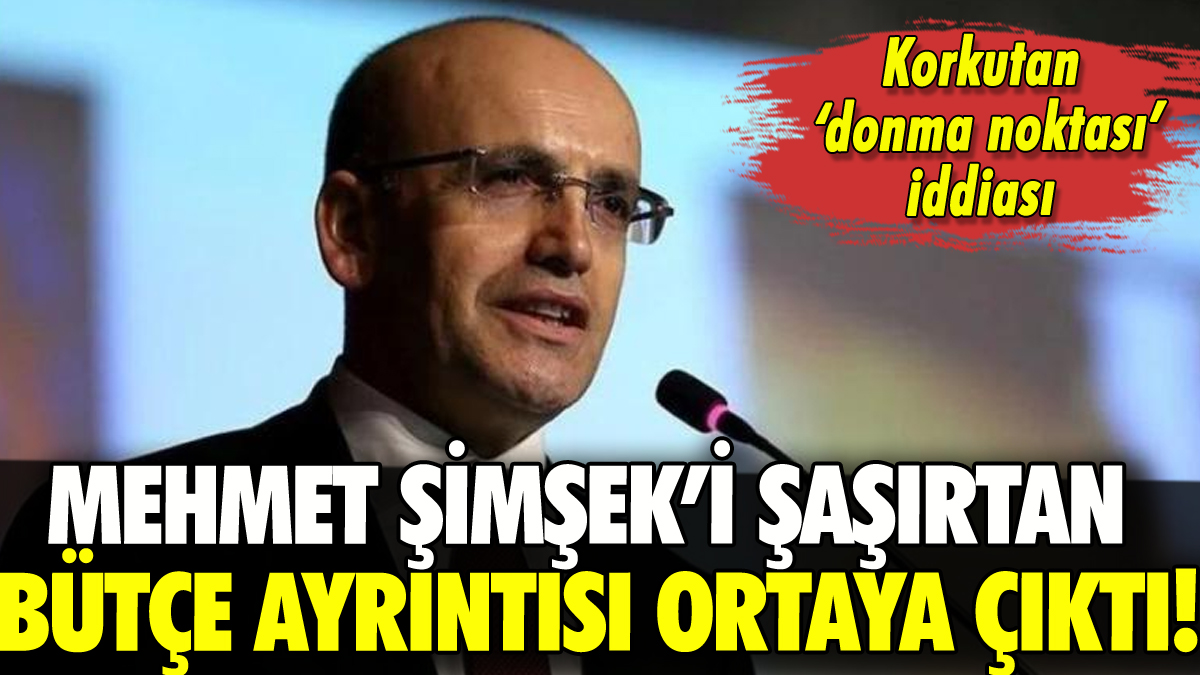 Mehmet Şimşek'le ilgili flaş iddia: Bütçedeki o ayrıntıya çok şaşırmış!