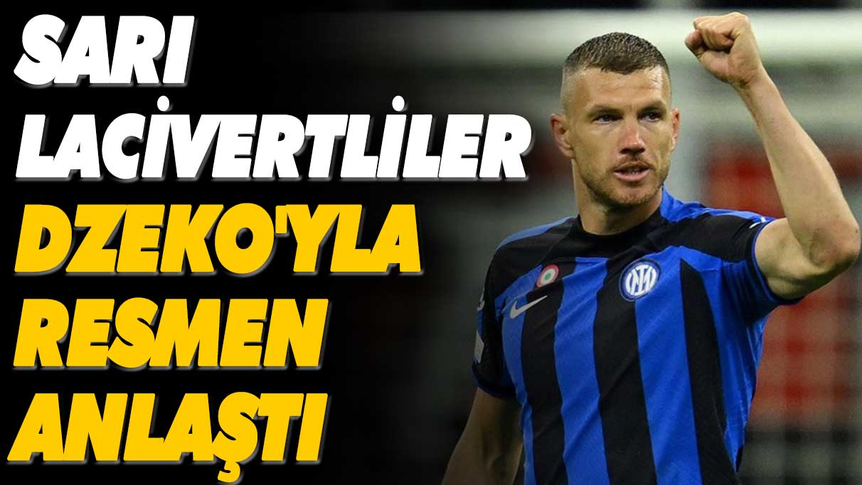 Fenerbahçe Edin Dzeko'yla mutlu sona ulaştı