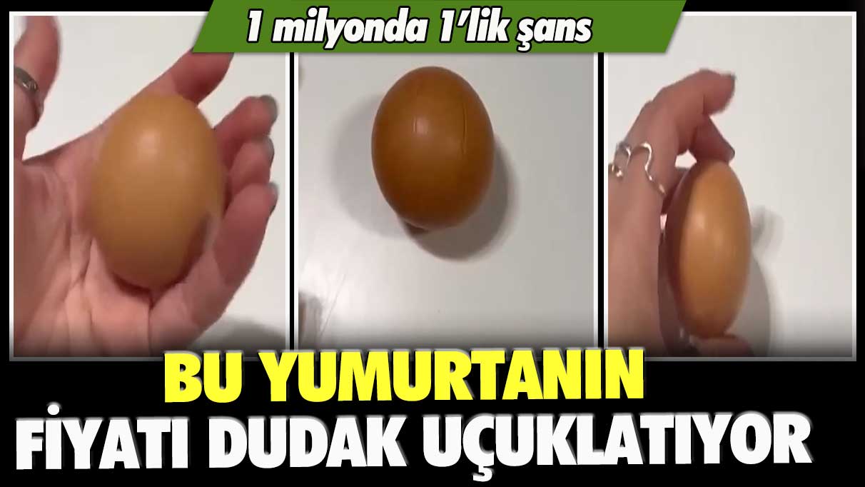 1 milyonda 1’lik şans: Bu yumurtanın fiyatı dudak uçuklatıyor