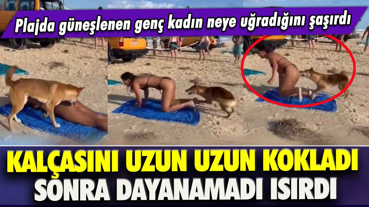 Kalçasını uzun uzun kokladı sonra dayanamadı ısırdı: Plajda güneşlenen genç kadın neye uğradığını şaşırdı