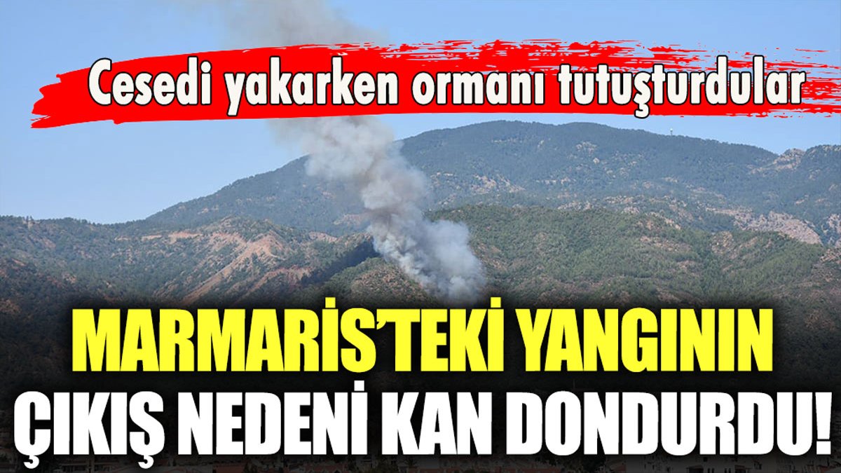 Marmaris'teki yangının çıkma nedeni kan dondurdu!