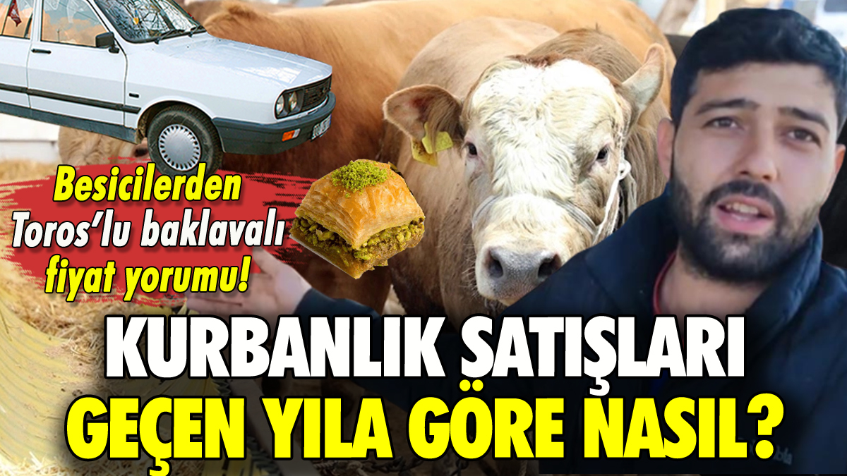 Kurbanlık satışları geçen yıla göre nasıl? Besicilerden farklı yorum!