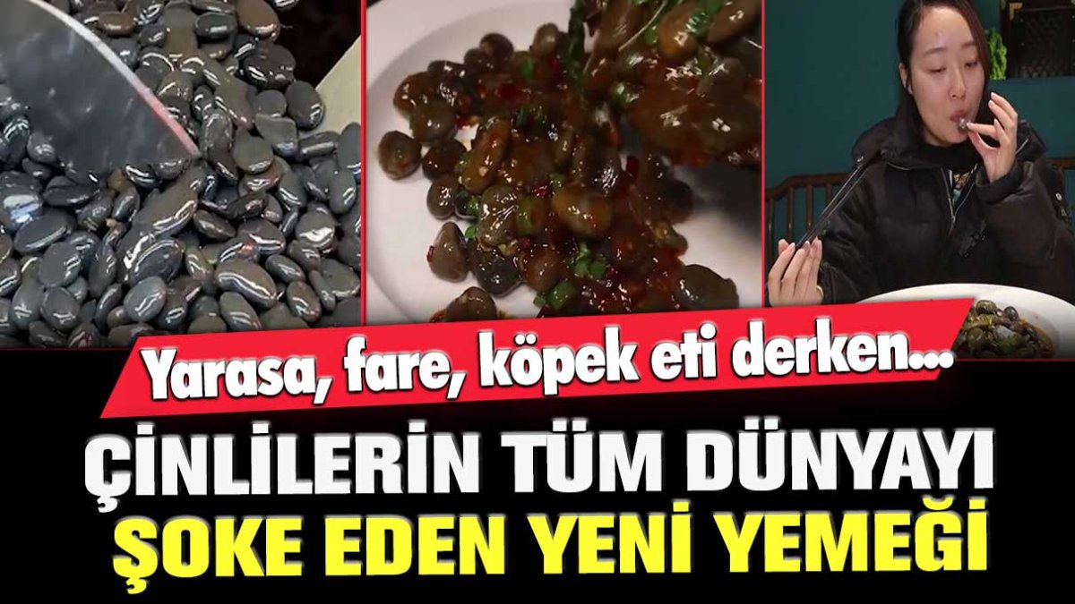 Yarasa, fare, köpek eti derken...  Çinlilerin tüm dünyayı şoke eden yeni yemeği