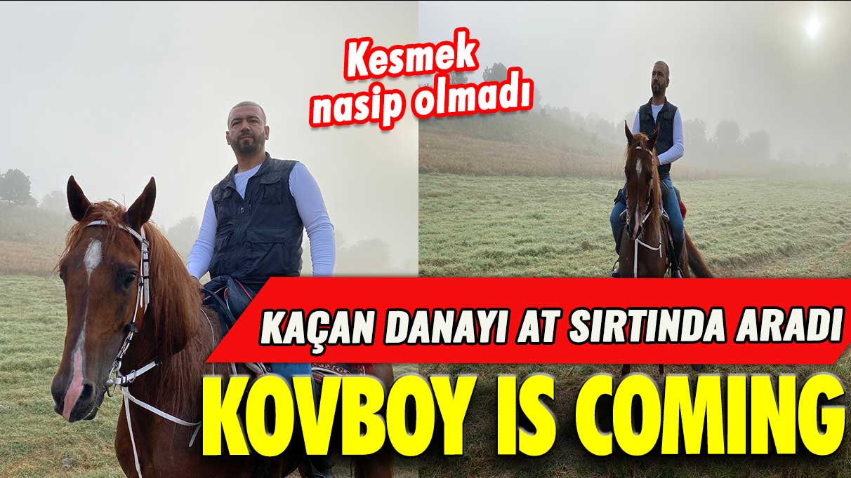 Kaçan danayı at sırtında aradı: Kovboy is coming