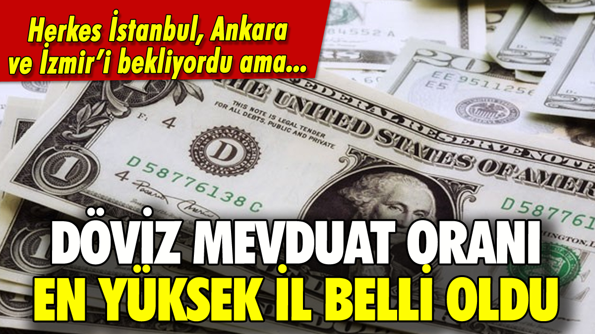 Döviz mevduat oranı en fazla olan il ortaya çıktı!