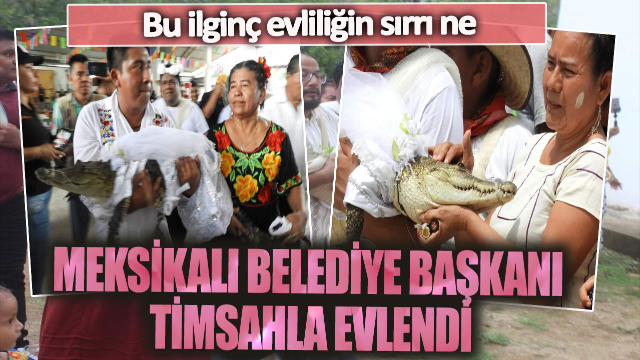 Meksikalı belediye başkanı timsahla evlendi: Bu ilginç evliliğin sırrı ne