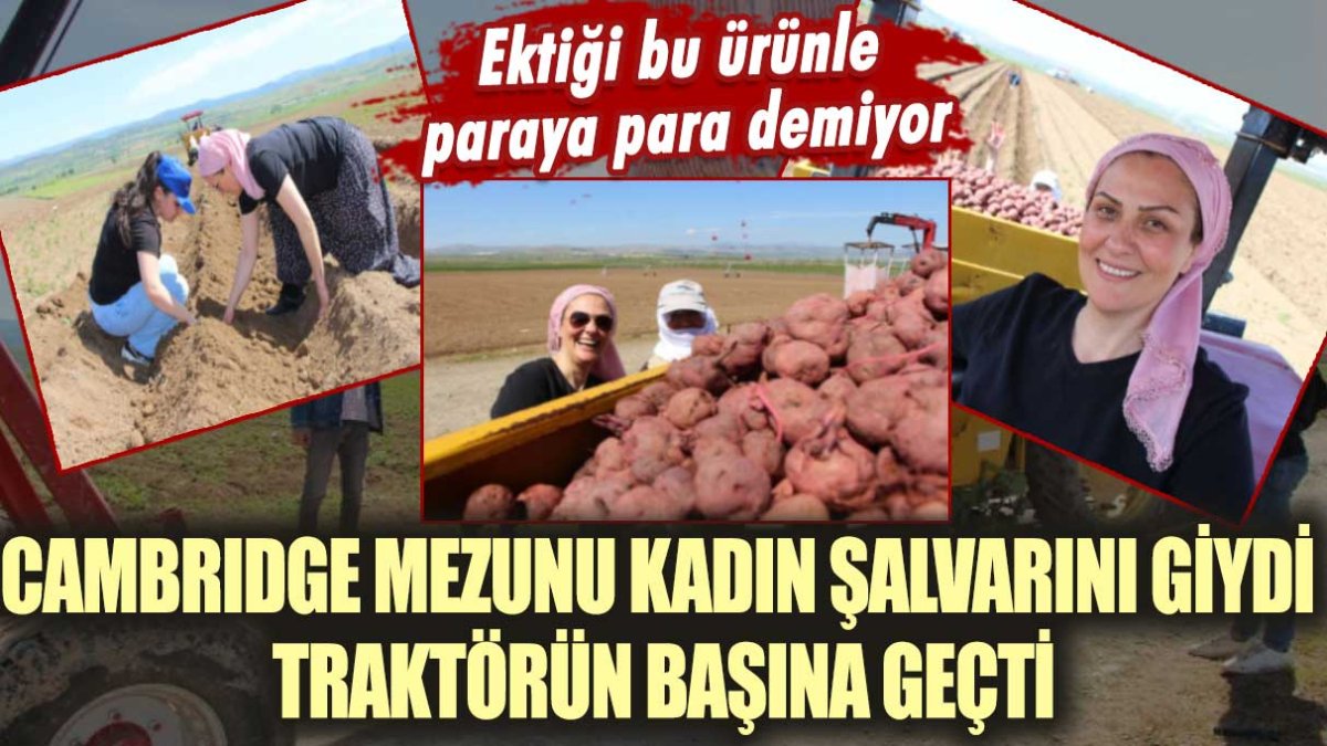 Ektiği bu ürünle paraya para demiyor! Cambridge mezun kadını şalvarını giydi, traktörün başına geçti